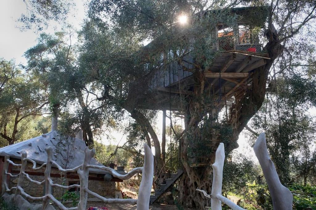 Margaritis'S Treehouse Villa Paramonas  Exterior photo