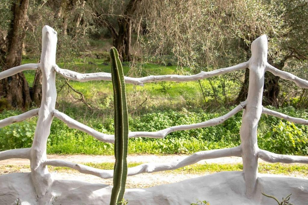 Margaritis'S Treehouse Villa Paramonas  Exterior photo