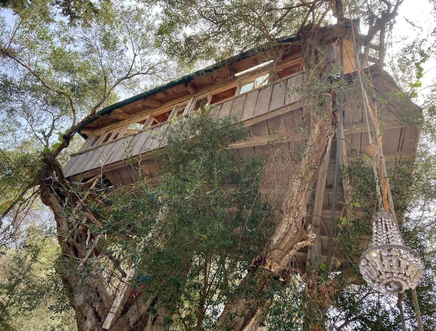 Margaritis'S Treehouse Villa Paramonas  Exterior photo