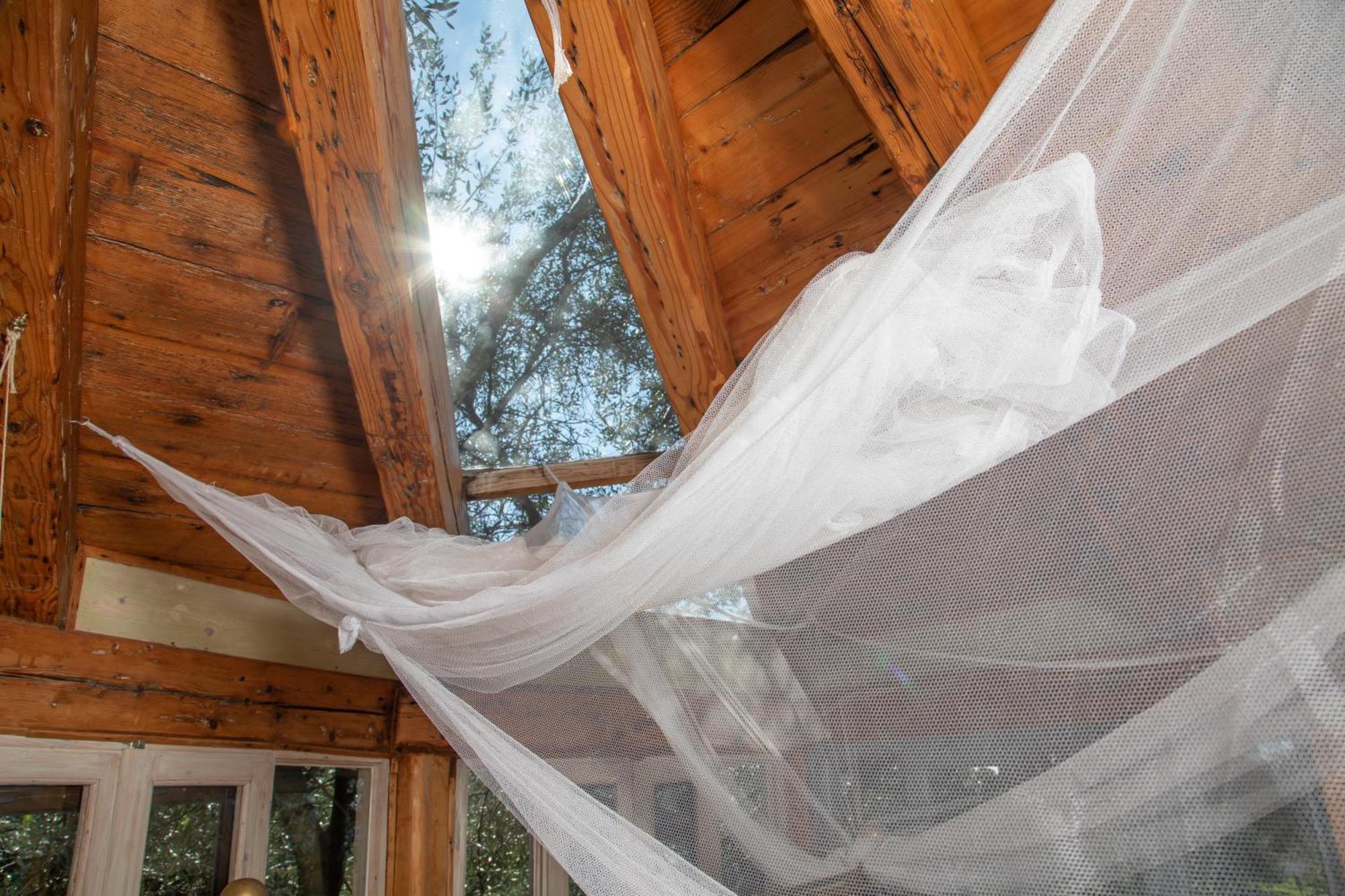 Margaritis'S Treehouse Villa Paramonas  Exterior photo